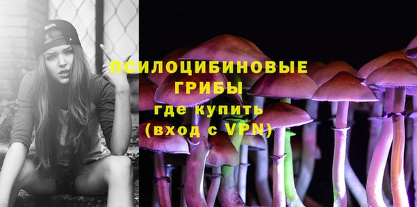 apvp Бородино