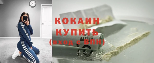 apvp Бородино